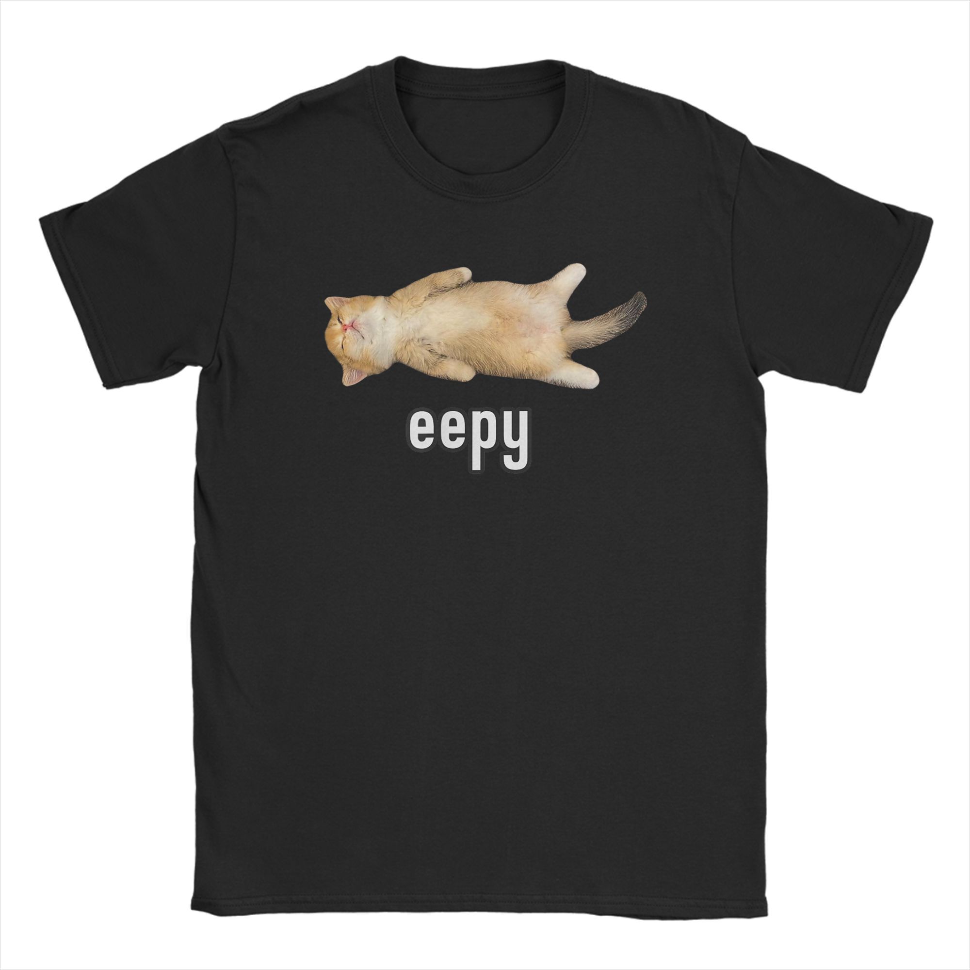 Summer Clothing Ideas For Women - Bayan Eepy Cat T Shirt Aptal