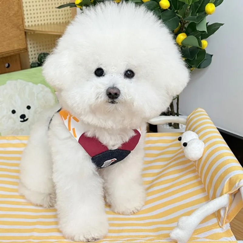 Evcil Hayvan Kot Köpek Kıyafet - Summer Clothing Release incelemesi ve fiyatı